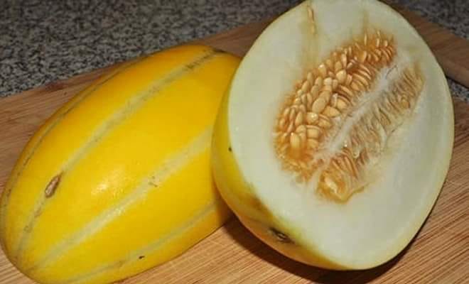 বাঙ্গি চাষ পদ্ধতি